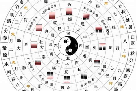 2000年生肖五行|2000年是什么年天干地支 2000年是什么年什么命